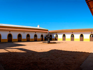 Instalaciones parideras