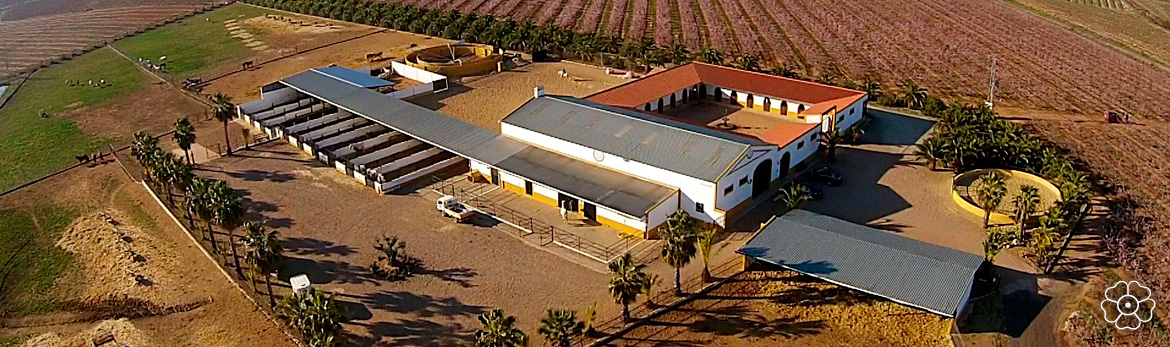 Instalaciones de la Yeguada Rosa